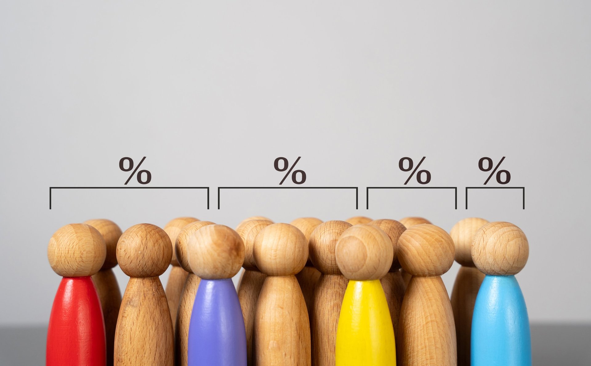 Societal division and demographics